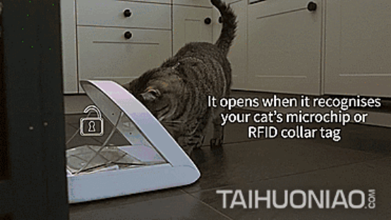 1562749302337581.png blob.png