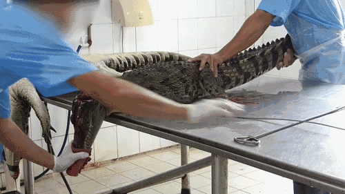 1562824729511821.png blob.png