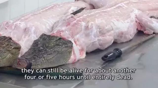 1562824772774728.png blob.png