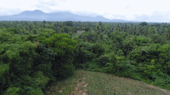 1562826236759640.png blob.png